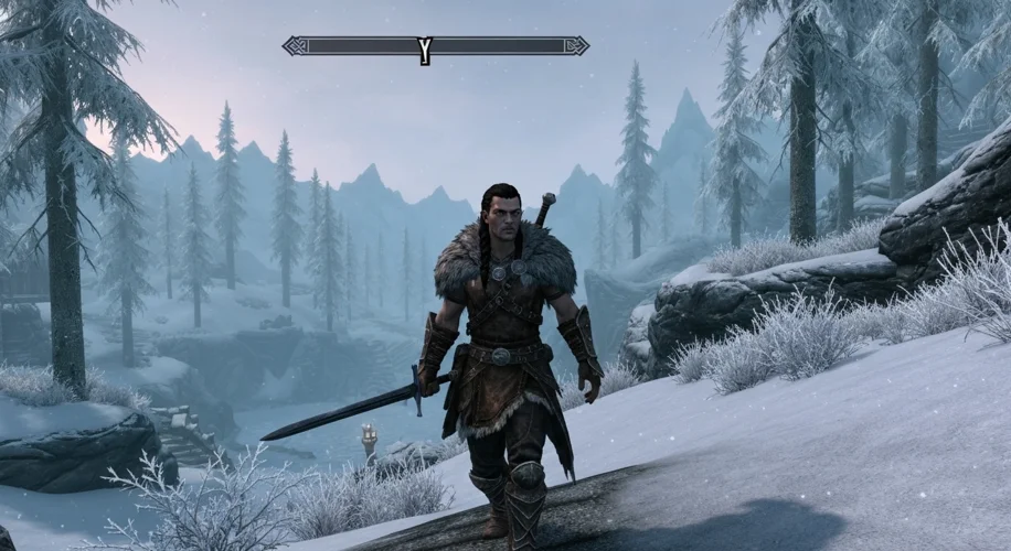 A screenshot from The Elder Scrolls II: Daggerfall, showcasing its distinctive 3D environments, char